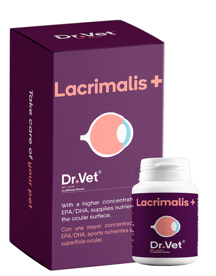 Lacrimalis 30 tabl