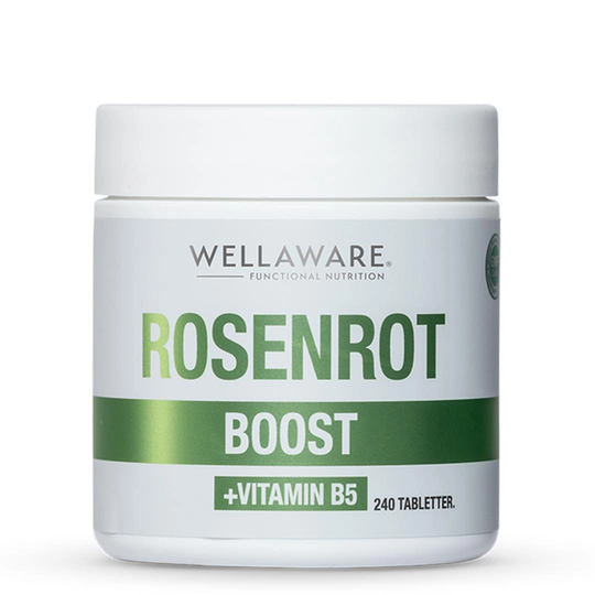 Wellaware Rosenrot + Vitamin B5 240 Tabs