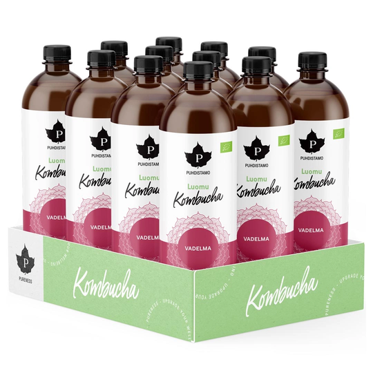 12 X Puhdistamo Luomu Kombucha 370ml