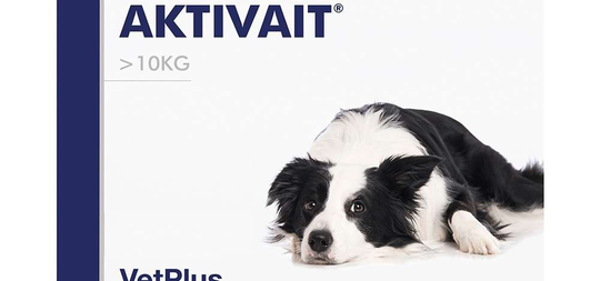 Aktivait Medium/Large 60 tabl