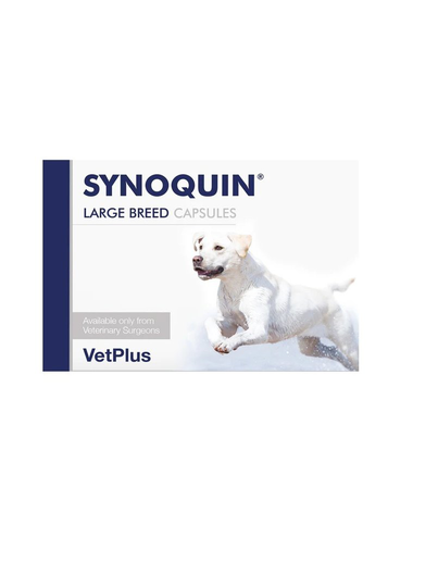 Synoquin EFA Large kaps 30 kpl