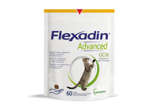 Flexadin advanced kissoille 60 purutabl
