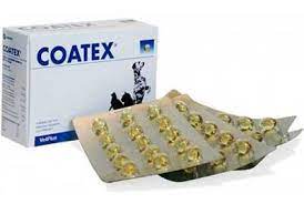 Coatex 60 kaps