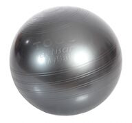 Togu MyBall with Actisan -jumppapallo (65 cm)