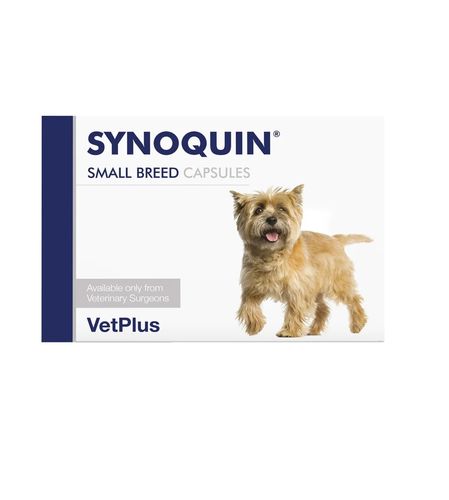 Synoquin EFA Small kaps 30 kpl